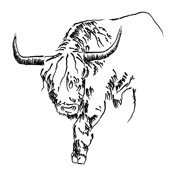 Bull sketch vector image Free SVG.