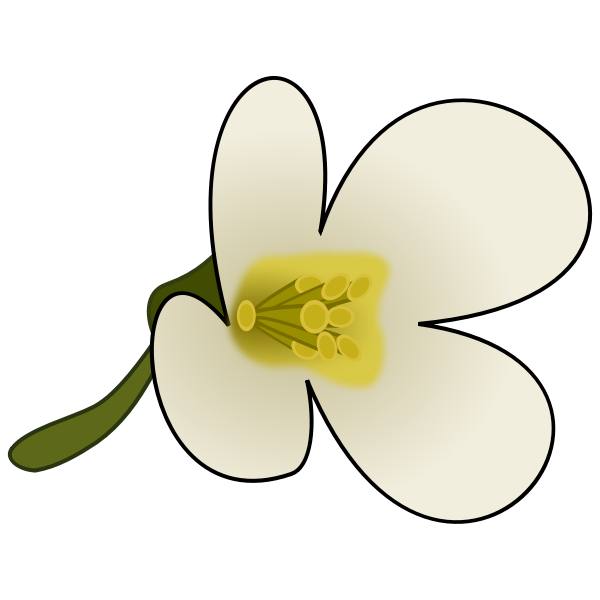 Thaliana Flower