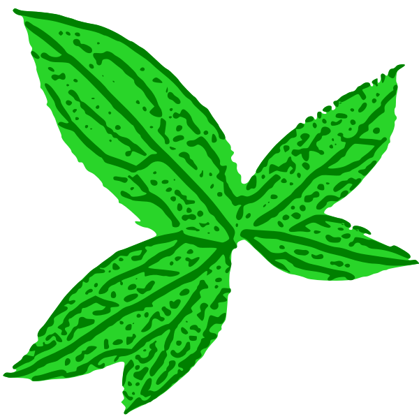 Green Leaf | Free SVG