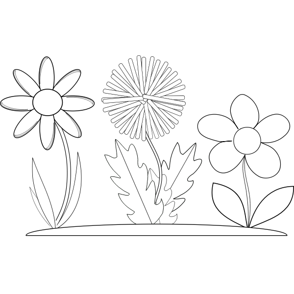 Vector graphics of three coloring book flowers