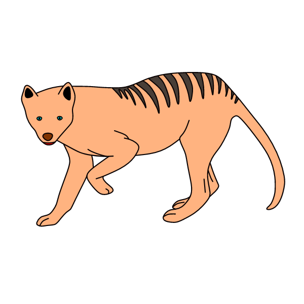 thylacine 2