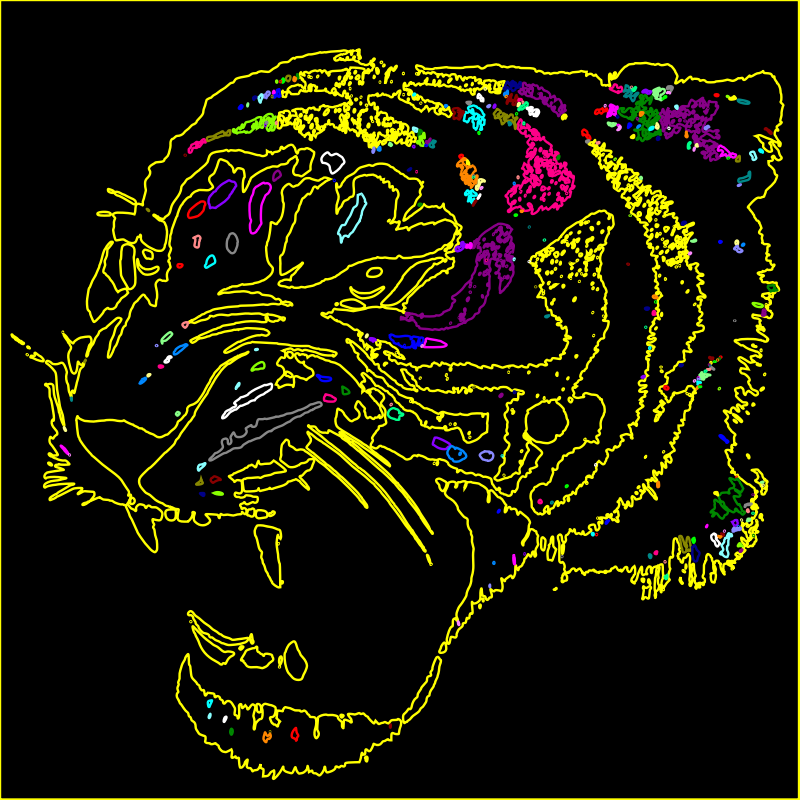 Tiger yellow outline