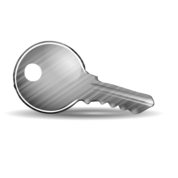 Shiny door key vector illustration