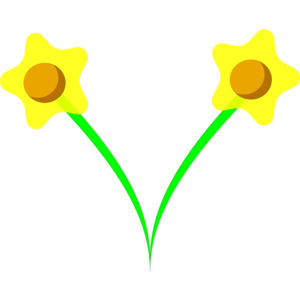 Daffodil flower vector image