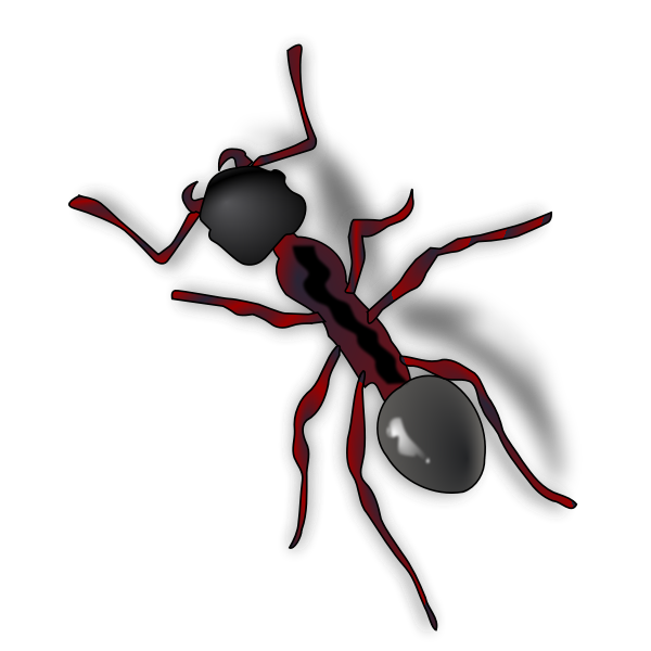Ant With Shadow Free Svg