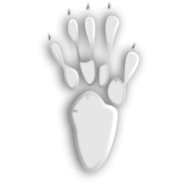 Animal Tracks Silhouette Free Svg