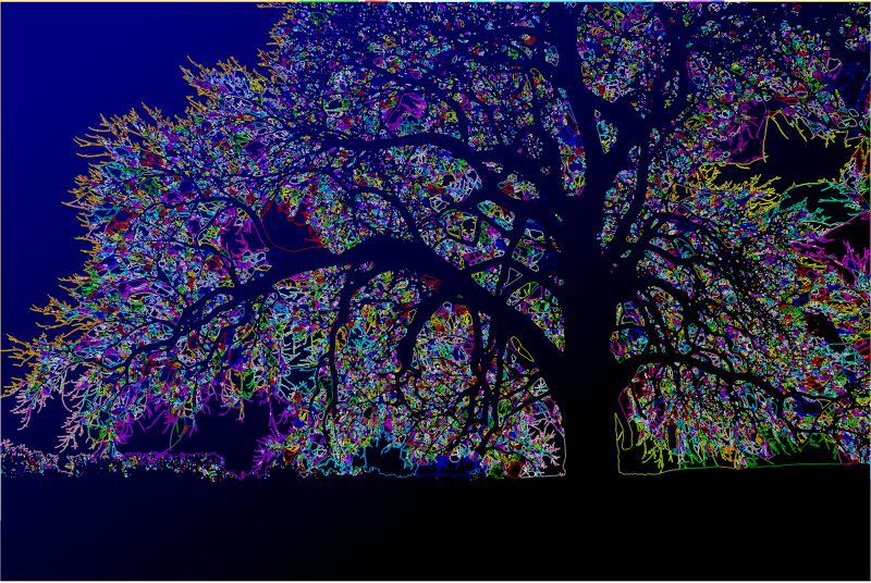 Surreal tree silhouette