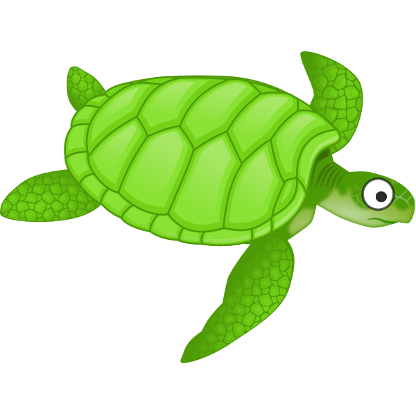 Cartoon turtle