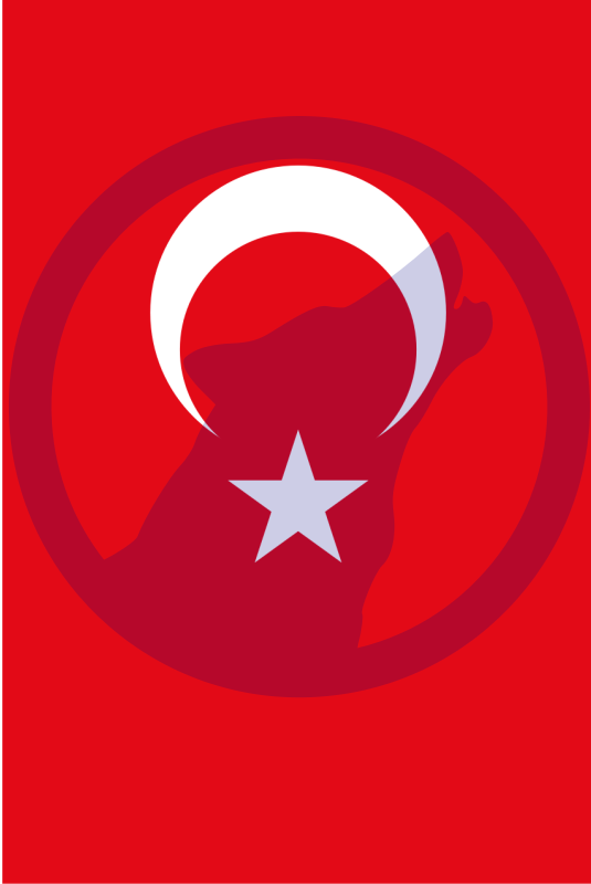Turkish flag vertical position