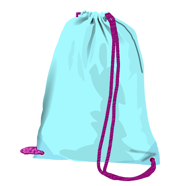 Vector image of sport bag
