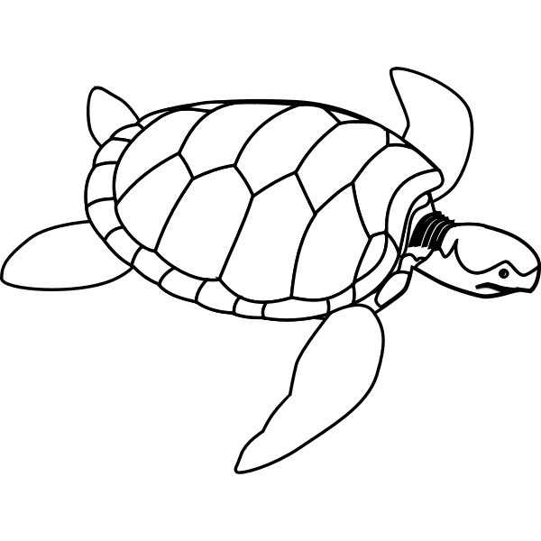 Green sea turtle | Free SVG