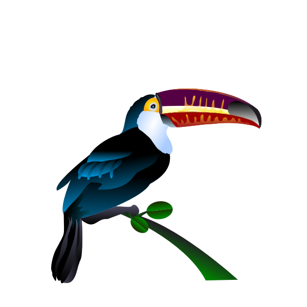 Toucan image