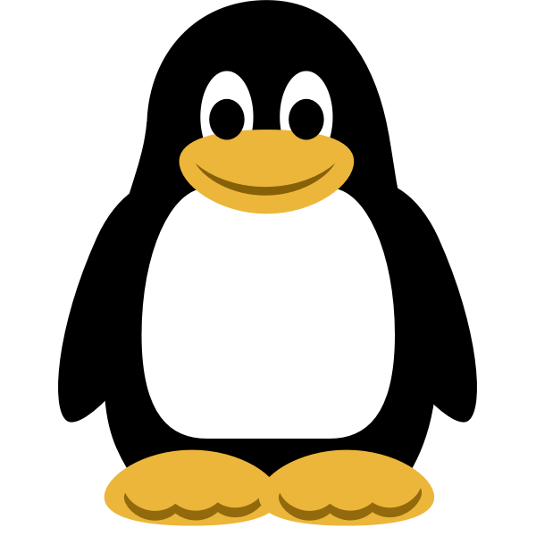 Color penguin vector image