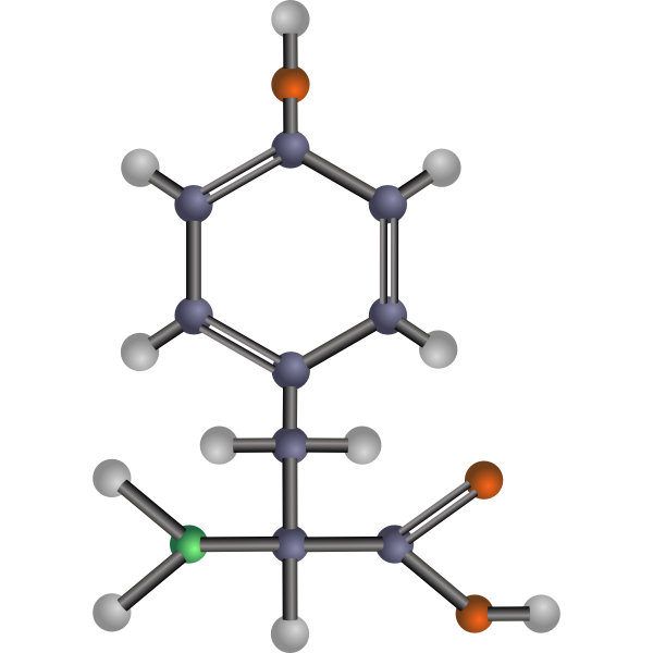 Tyrosine (amino acid)