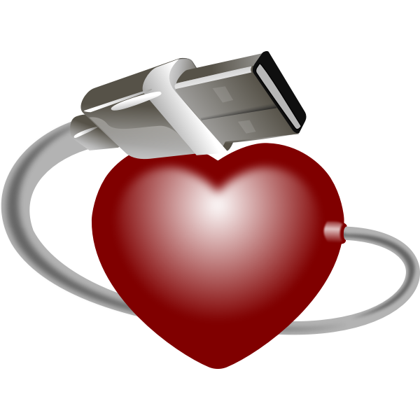 Heart USB stick vector graphics