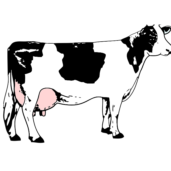 Vector image of cow full of milk