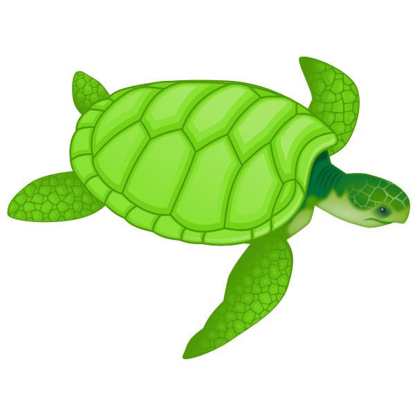 Green sea turtle vector clip art