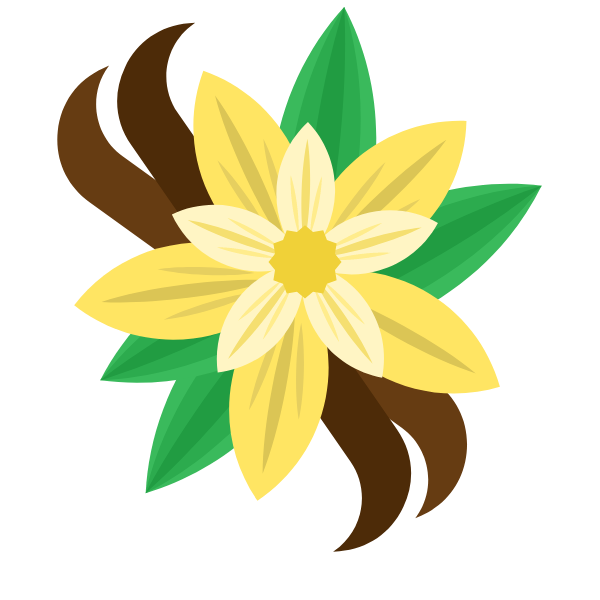Vanilla plant