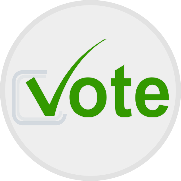 Vote at elections icon vector image