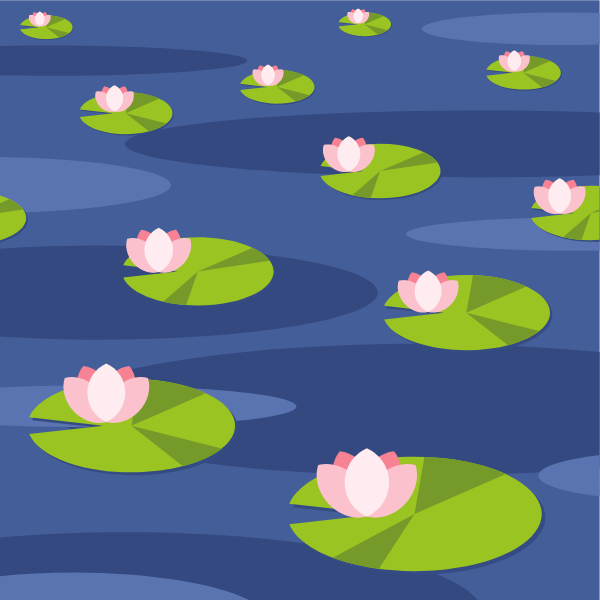 Water lilies flower