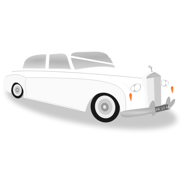 Wedding car vector image
