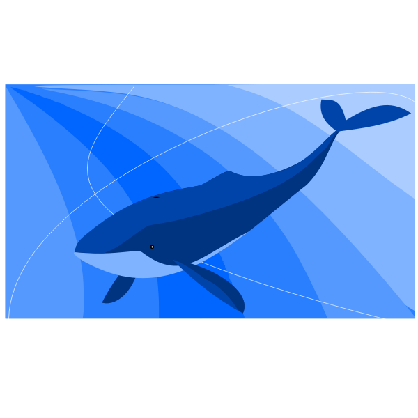 whale v2