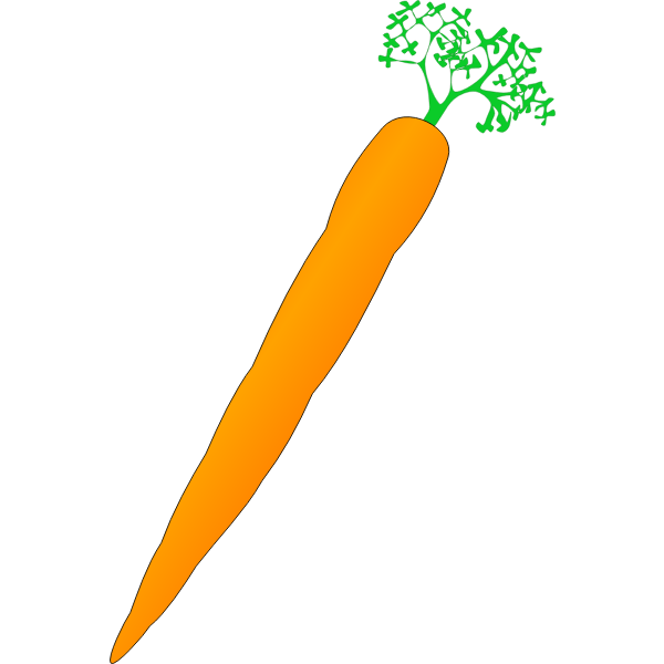 Vector image of orange carrot