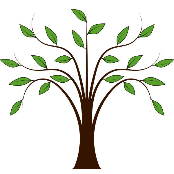 Leafy tree image