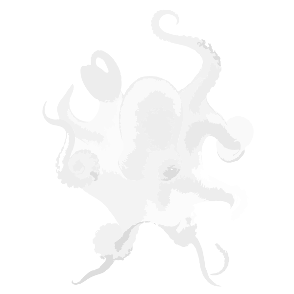 white octopus 2016032419