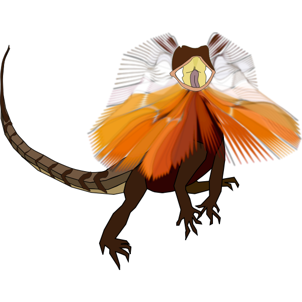 Frill-necked lizard (dragon)