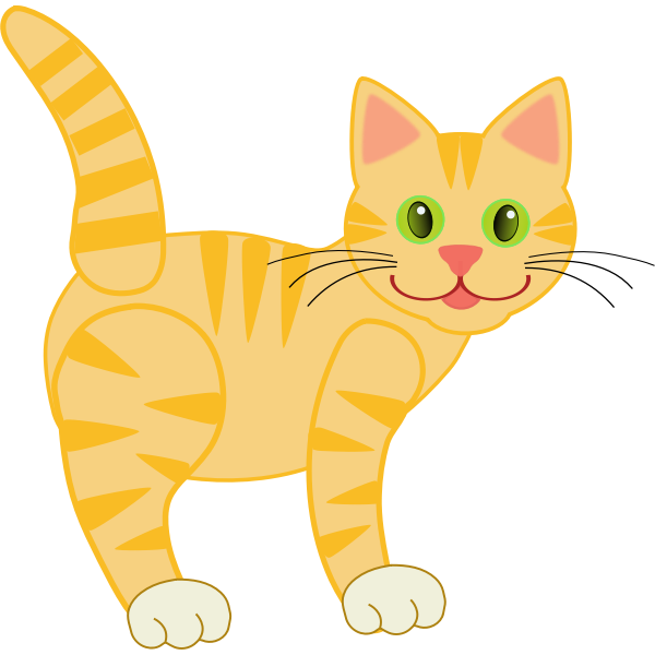 yellow tiger cat