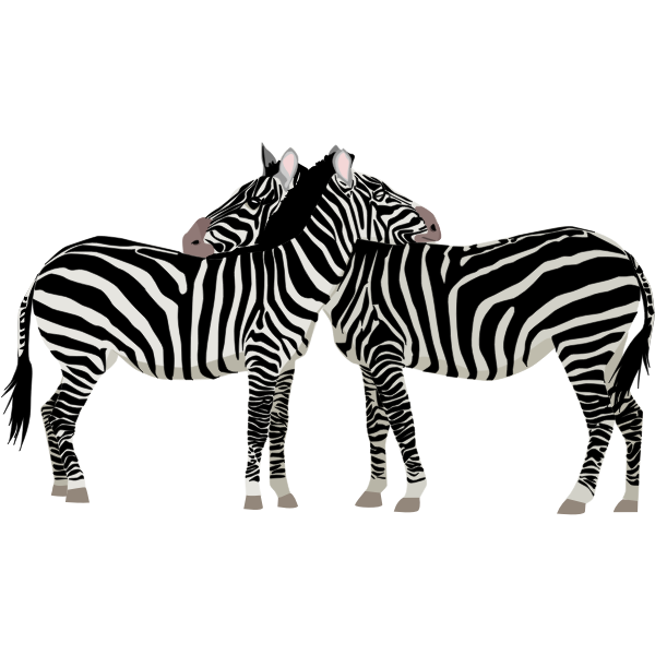 Zebras monochrome art