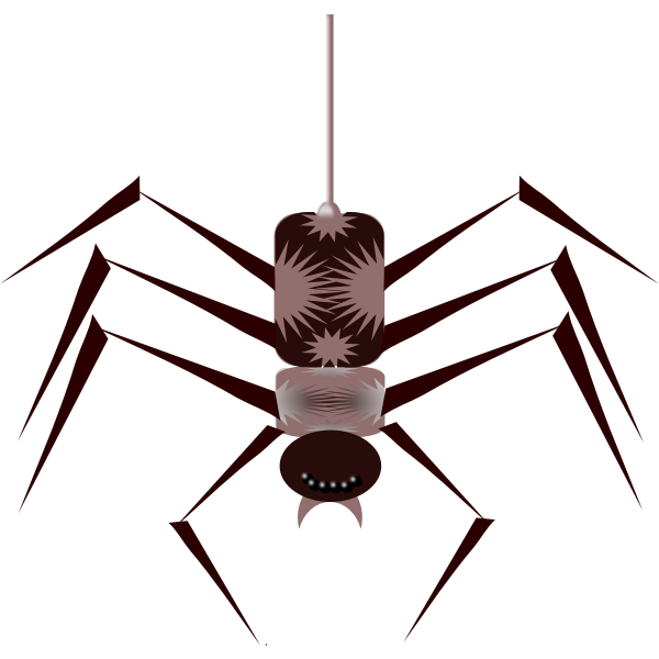 Spider insect (#3)