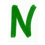  N