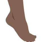 Human foot vector image