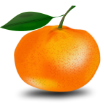 Orange and leaf
