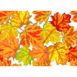 Bright fall leaves vector graphics