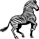 Zebra horse clip art graphics