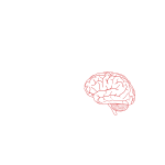 Vector image of side view of human brain in pink
