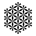 hexagonal star of zebra dodecagon