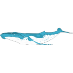 Humpback whale comic drawing