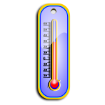 Thermometer vector image