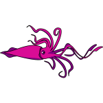 Vector image of squid