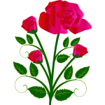 Vector graphics of four roses on one stam