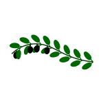 Olive branch image