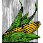 Corn and cob