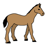 Pony illustration