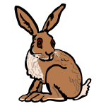 Hare - coloured