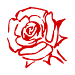 Rose sketch