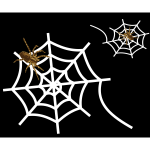 Spider web-1573140488